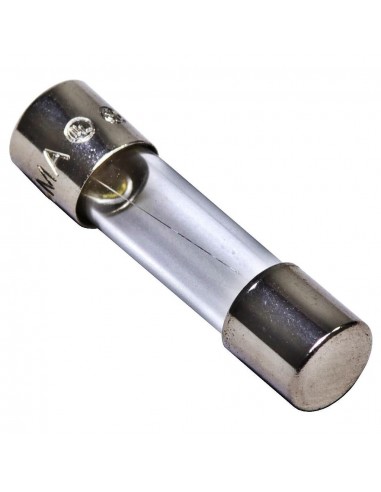 Mgl B170 Fusible De Vidrio 21mm  2.0 A